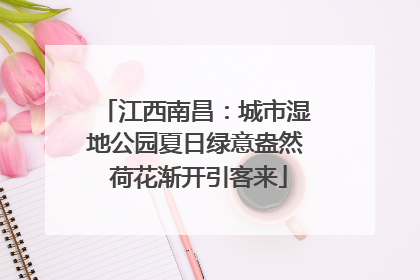 江西南昌：城市湿地公园夏日绿意盎然 荷花渐开引客来