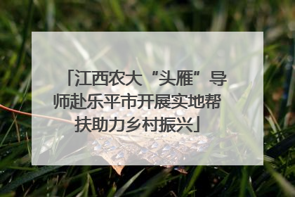 江西农大“头雁”导师赴乐平市开展实地帮扶助力乡村振兴