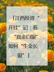 江西投资“开挂”记：看“真金白银”如何“生金长银”
