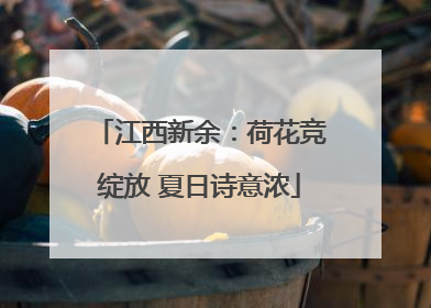 江西新余：荷花竞绽放 夏日诗意浓