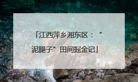 江西萍乡湘东区：“泥腿子”田间掘金记