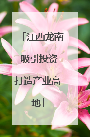 江西龙南 吸引投资打造产业高地
