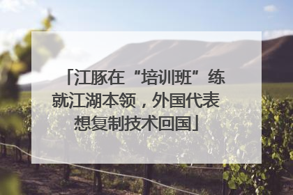 江豚在“培训班”练就江湖本领，外国代表想复制技术回国