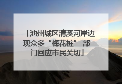 池州城区清溪河岸边现众多“梅花桩” 部门回应市民关切