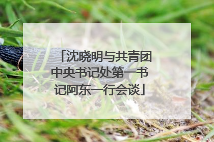 沈晓明与共青团中央书记处第一书记阿东一行会谈