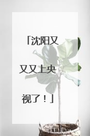 沈阳又又又上央视了！