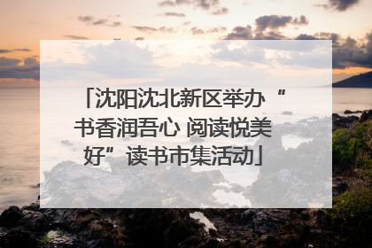 沈阳沈北新区举办“书香润吾心 阅读悦美好”读书市集活动