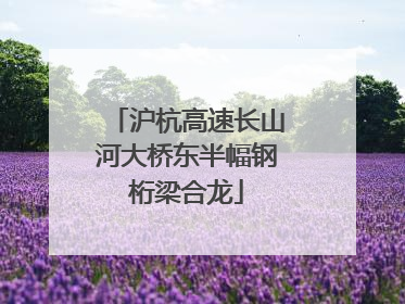 沪杭高速长山河大桥东半幅钢桁梁合龙