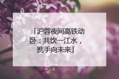 沪蓉夜间高铁动卧：共饮一江水，携手向未来