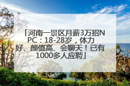河南一景区月薪3万招NPC：18-28岁，体力好、颜值高、会聊天！已有1000多人应聘