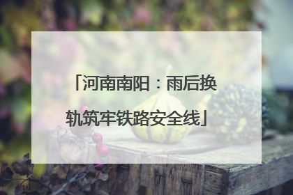 河南南阳：雨后换轨筑牢铁路安全线
