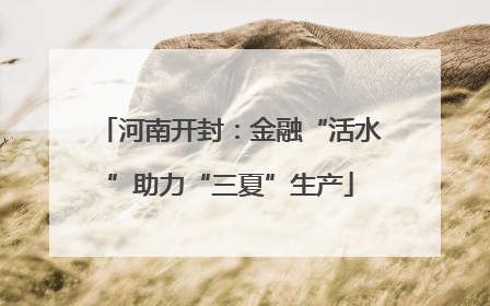 河南开封：金融“活水”助力“三夏”生产