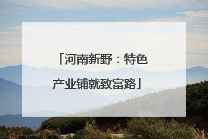 河南新野：特色产业铺就致富路