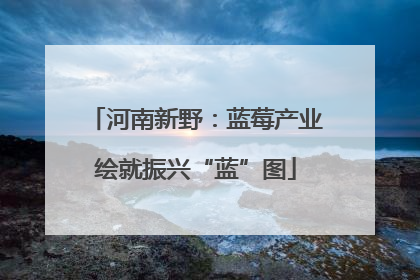 河南新野：蓝莓产业绘就振兴“蓝”图