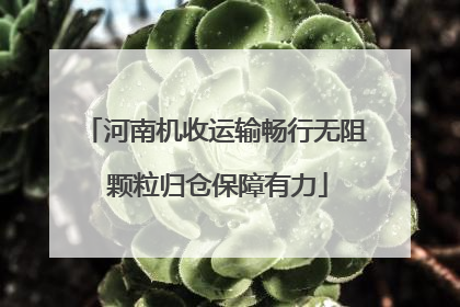 河南机收运输畅行无阻 颗粒归仓保障有力