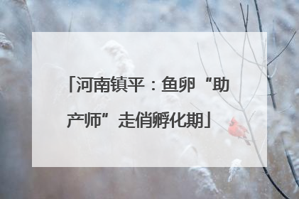 河南镇平：鱼卵“助产师”走俏孵化期