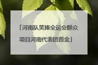 河南队笑捧全运会群众项目河南代表团首金