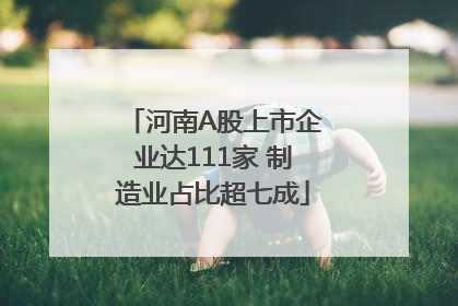 河南A股上市企业达111家 制造业占比超七成