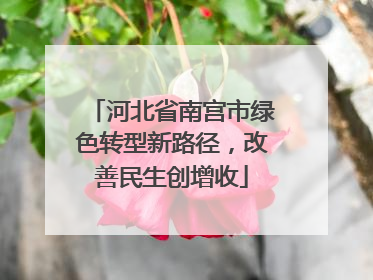 河北省南宫市绿色转型新路径，改善民生创增收