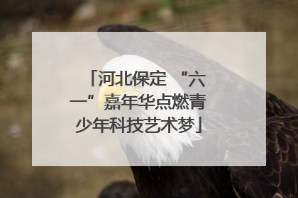 河北保定 “六一”嘉年华点燃青少年科技艺术梦