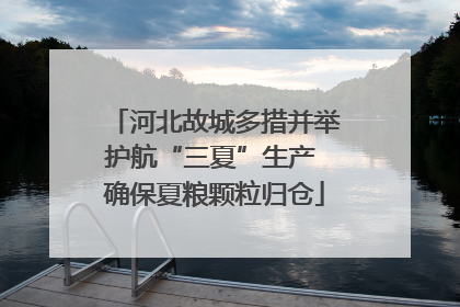 河北故城多措并举护航“三夏”生产 确保夏粮颗粒归仓
