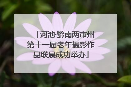 河池·黔南两市州第十一届老年摄影作品联展成功举办