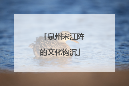 泉州宋江阵的文化钩沉