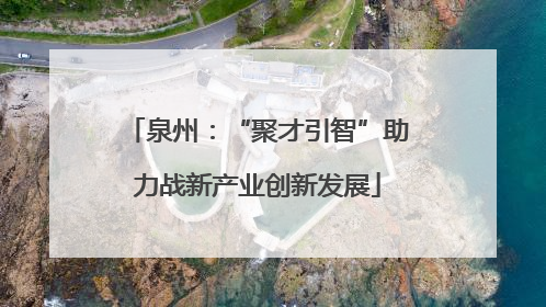 泉州：“聚才引智”助力战新产业创新发展