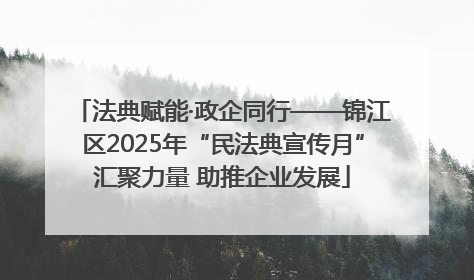 法典赋能·政企同行——锦江区2025年“民法典宣传月”汇聚力量 助推企业发展