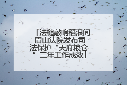 法槌敲响稻浪间 眉山法院发布司法保护“天府粮仓”三年工作成效