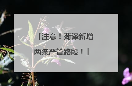 注意！菏泽新增两条严管路段！