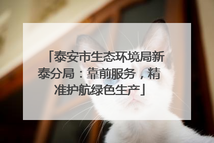 泰安市生态环境局新泰分局：靠前服务，精准护航绿色生产