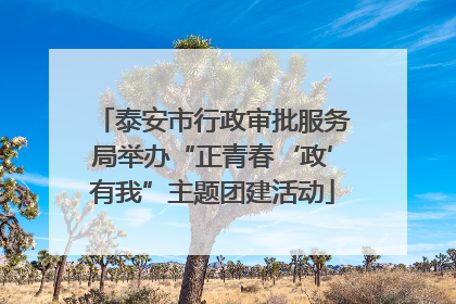 泰安市行政审批服务局举办“正青春‘政’有我”主题团建活动