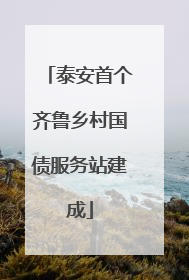 泰安首个齐鲁乡村国债服务站建成