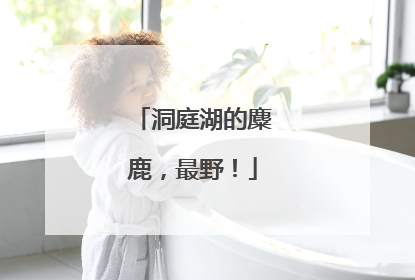 洞庭湖的麋鹿，最野！