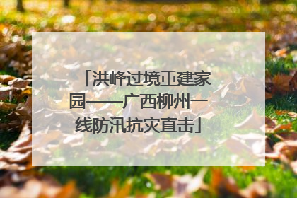 洪峰过境重建家园——广西柳州一线防汛抗灾直击