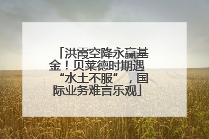 洪霞空降永赢基金！贝莱德时期遇“水土不服”，国际业务难言乐观