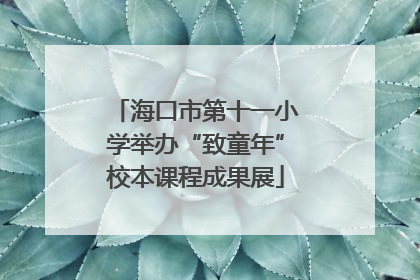 海口市第十一小学举办“致童年”校本课程成果展