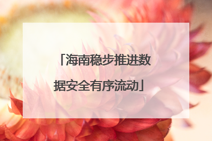 海南稳步推进数据安全有序流动