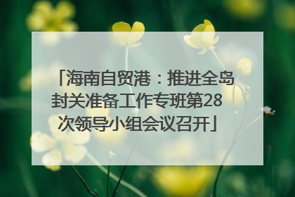 海南自贸港：推进全岛封关准备工作专班第28次领导小组会议召开