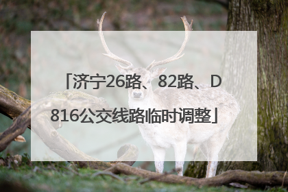 济宁26路、82路、D816公交线路临时调整