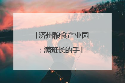 济州粮食产业园：满班长的手