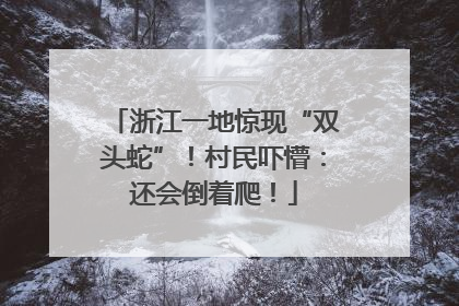 浙江一地惊现“双头蛇”！村民吓懵：还会倒着爬！