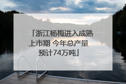 浙江杨梅进入成熟上市期 今年总产量预计74万吨