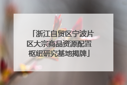 浙江自贸区宁波片区大宗商品资源配置枢纽研究基地揭牌