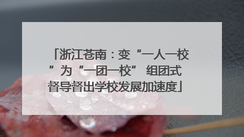 浙江苍南：变“一人一校”为“一团一校” 组团式督导督出学校发展加速度