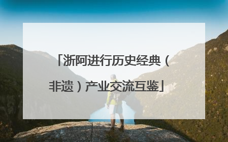 浙阿进行历史经典（非遗）产业交流互鉴
