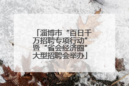 淄博市“百日千万招聘专项行动”暨“省会经济圈”大型招聘会举办