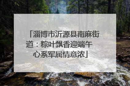 淄博市沂源县南麻街道：粽叶飘香迎端午 心系军属情意浓