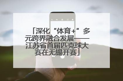 深化“体育+”多元跨界融合发展——江苏省首届匹克球大赛在无锡开赛